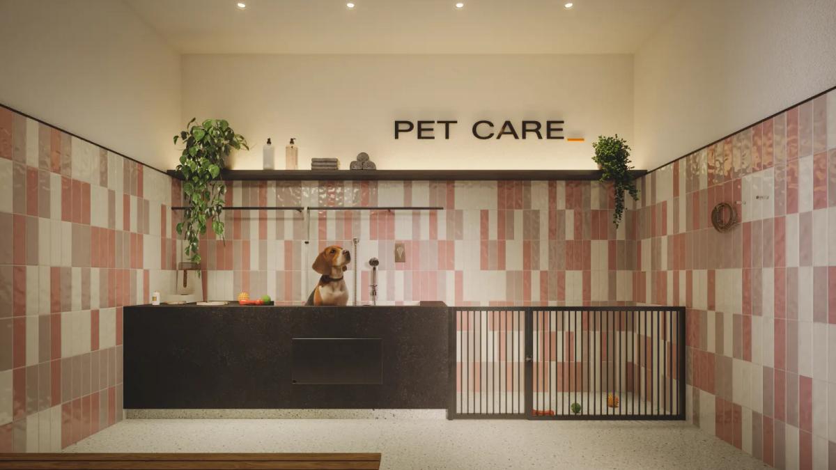 Lazer — CITY44_PETCARE_001_WEBP.webp