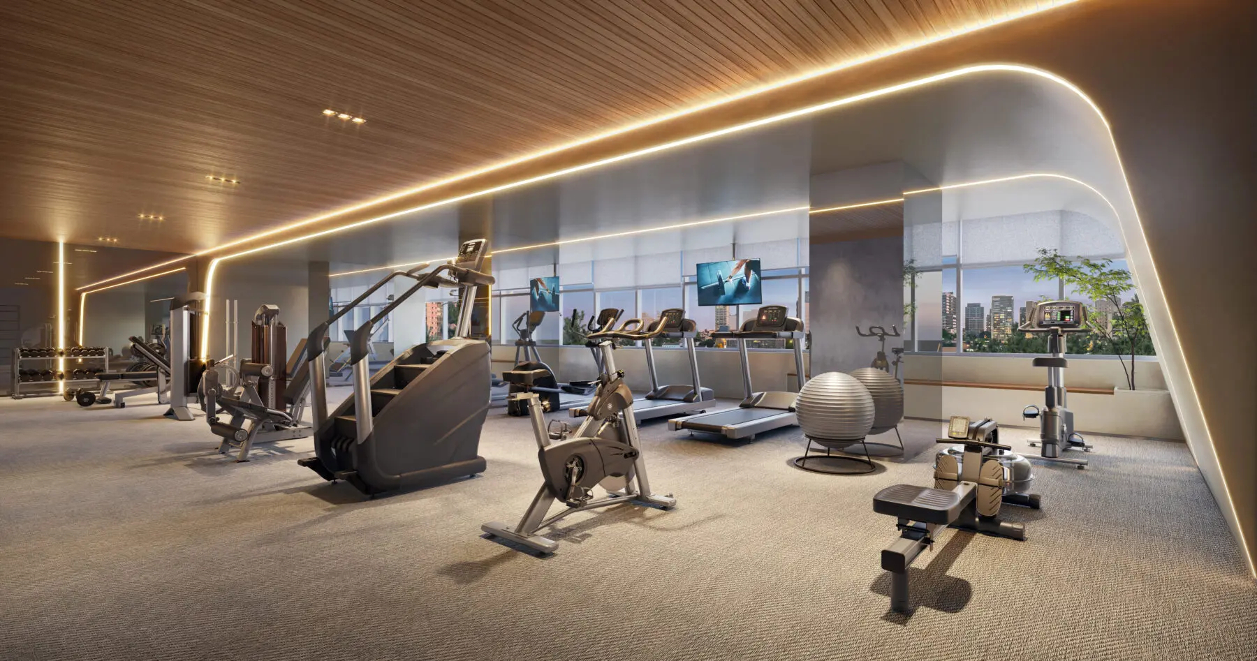 Fitness