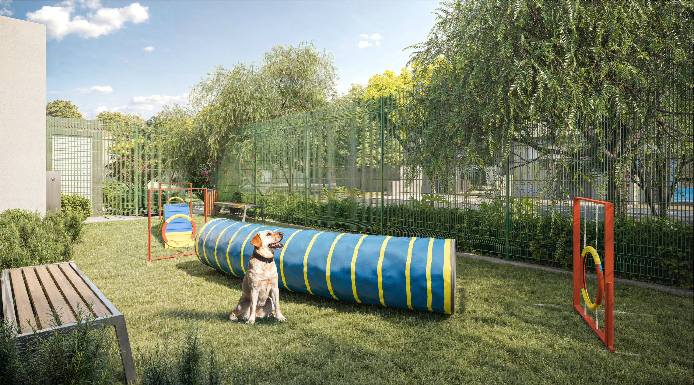 Pet place