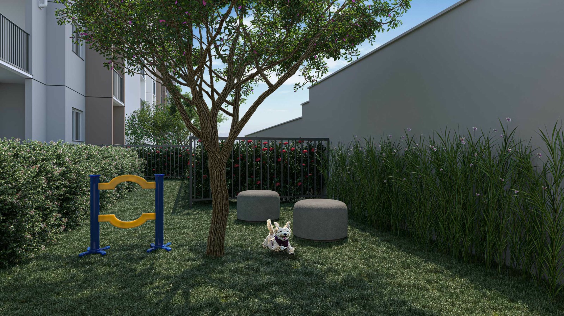 Pet place